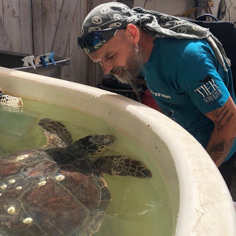 Markus Putzgruber, Obmann RespekTurtle