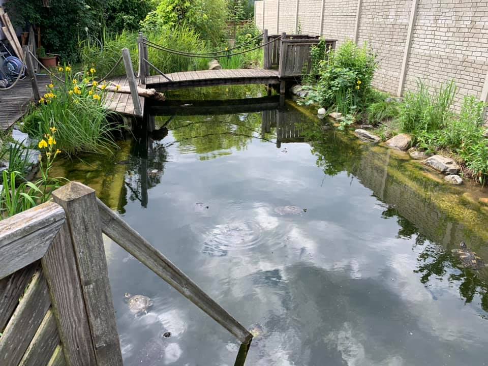 Der Gnadenhof – RespekTurtle
