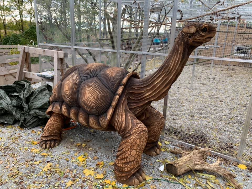 Der Gnadenhof – RespekTurtle