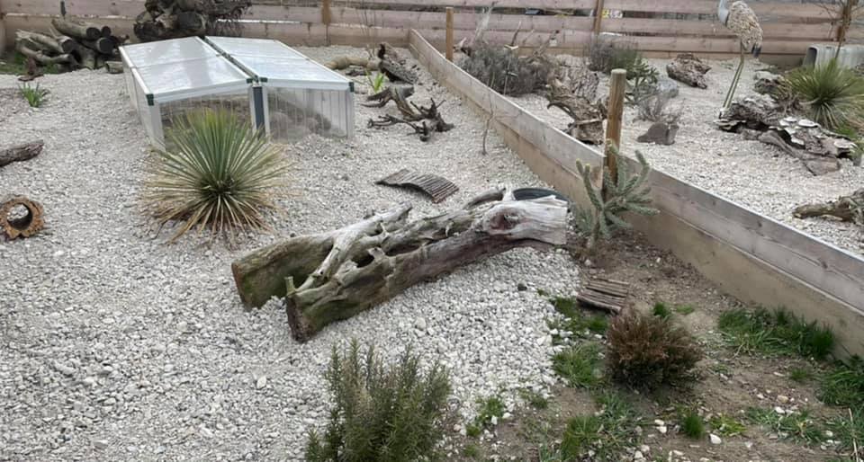 Der Gnadenhof – RespekTurtle