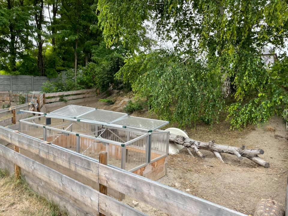 Der Gnadenhof – RespekTurtle