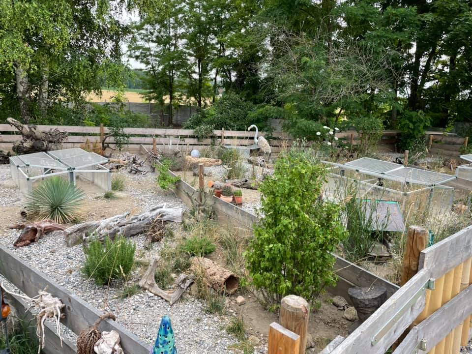 Der Gnadenhof – RespekTurtle
