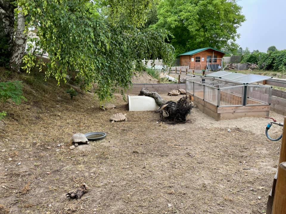 Der Gnadenhof – RespekTurtle