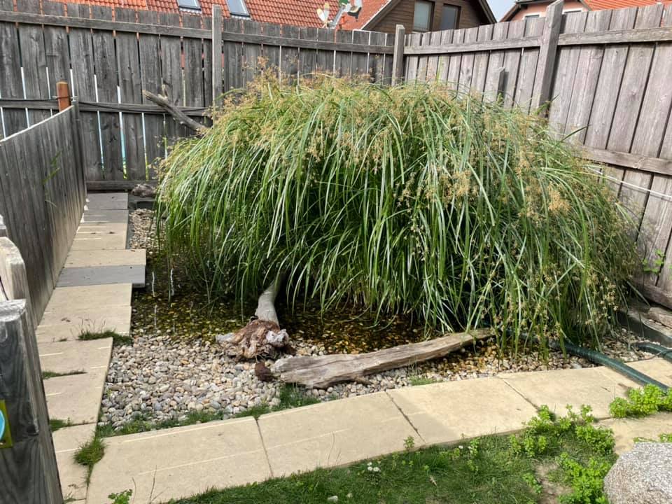 Der Gnadenhof – RespekTurtle