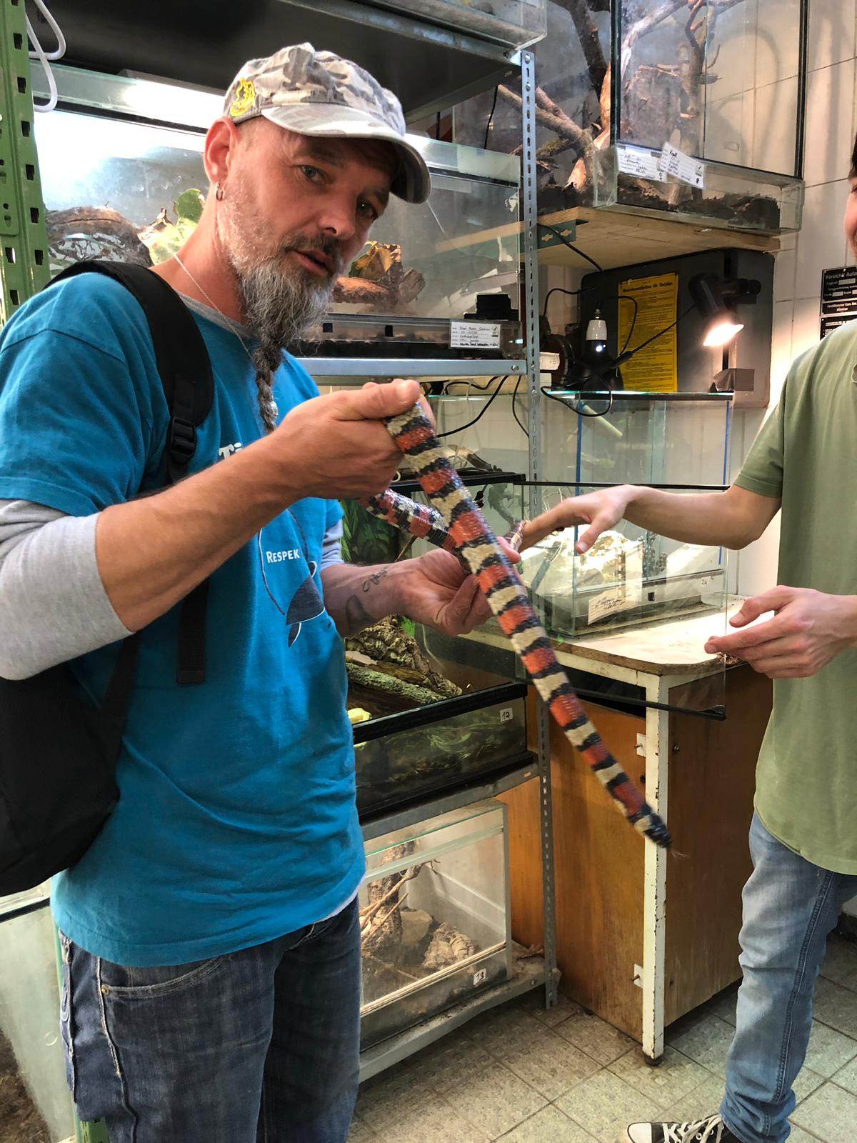 Reptilien, Vögel und Spinnen am Gnadenhof