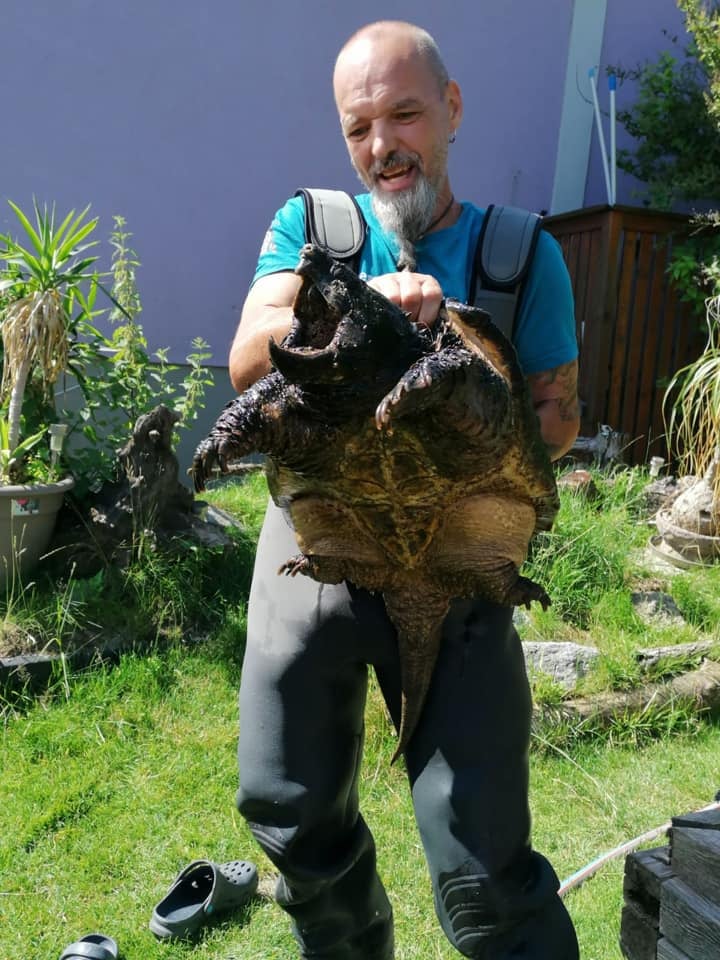 Schildkröten am Gnadenhof