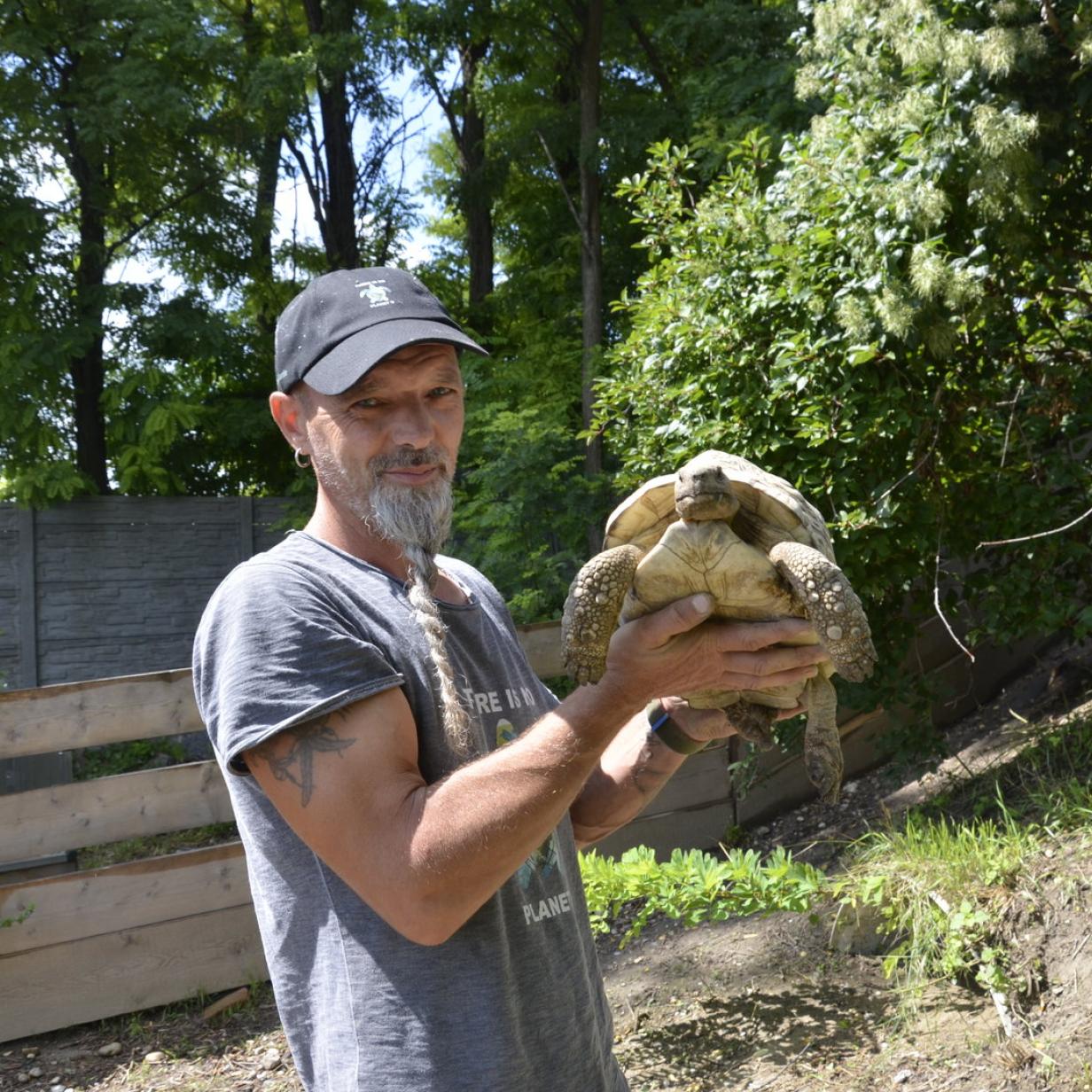 Schildkröten am Gnadenhof RespekTurtle