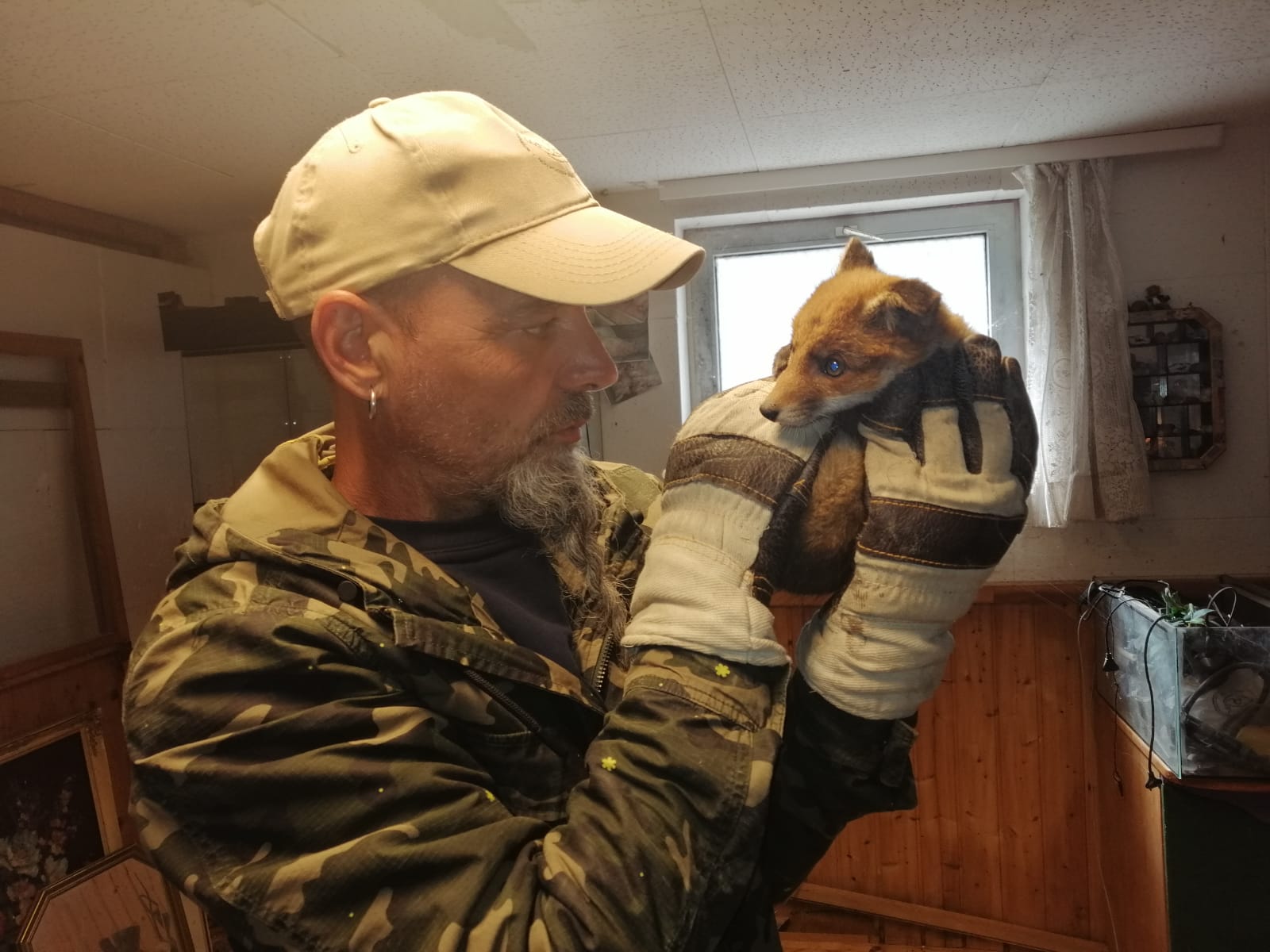 Wildtiere und weitere Tiere am Gnadenhof