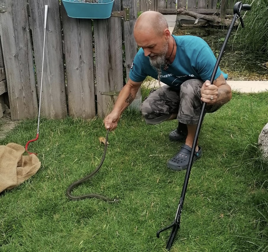 Wildtiere und weitere Tiere am Gnadenhof