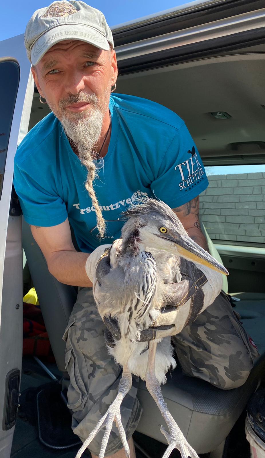 Wildtiere und weitere Tiere am Gnadenhof