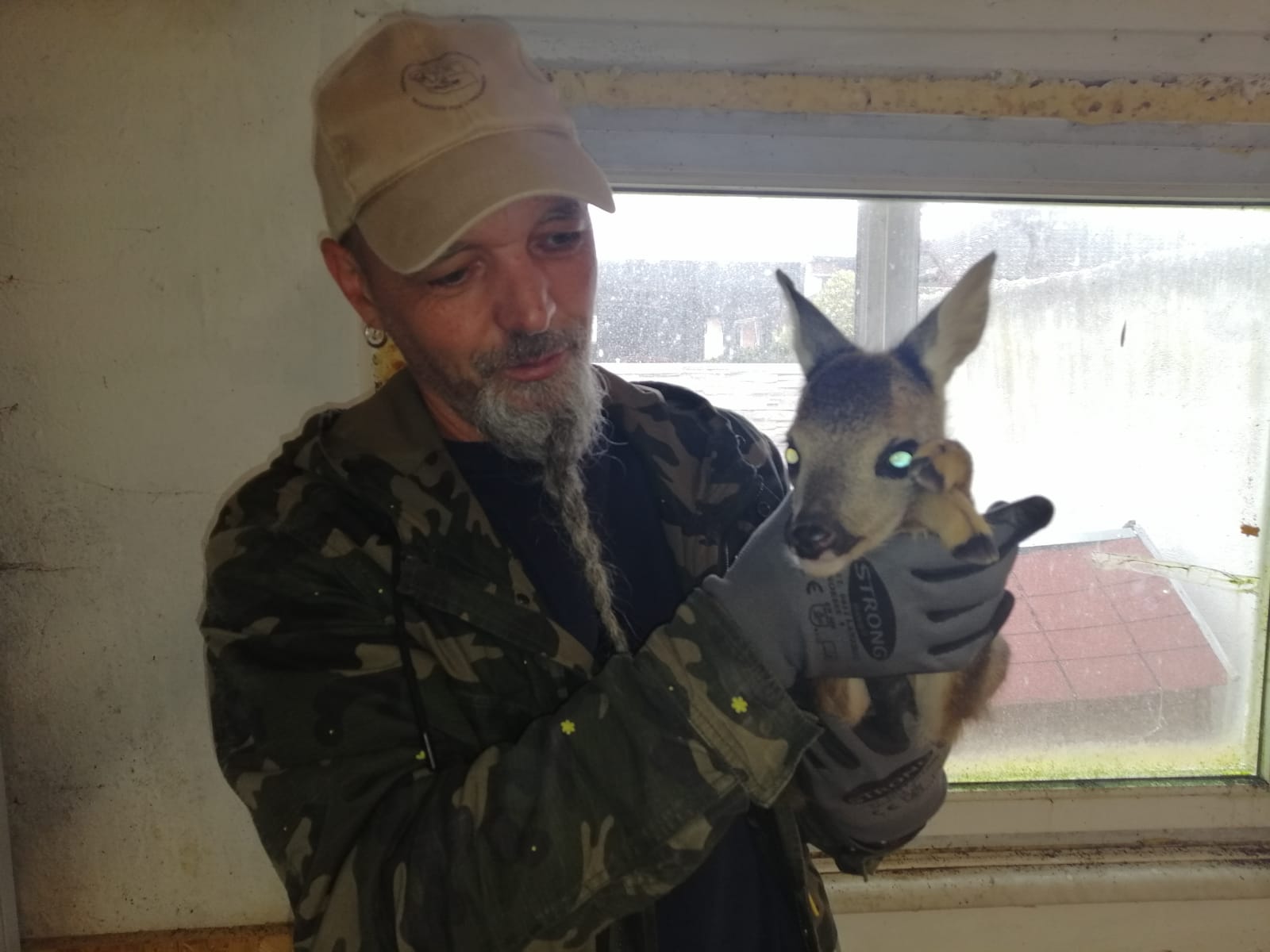 Wildtiere und weitere Tiere am Gnadenhof