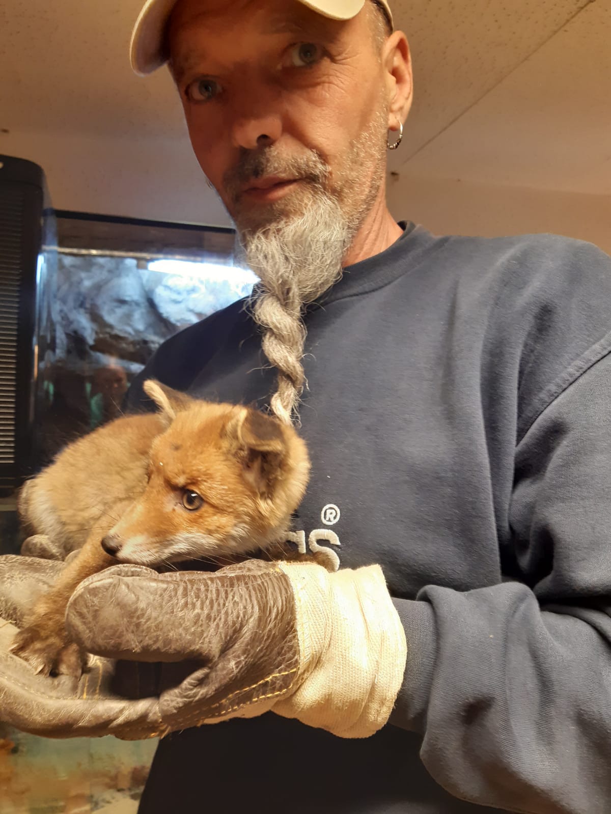 Wildtiere und weitere Tiere am Gnadenhof