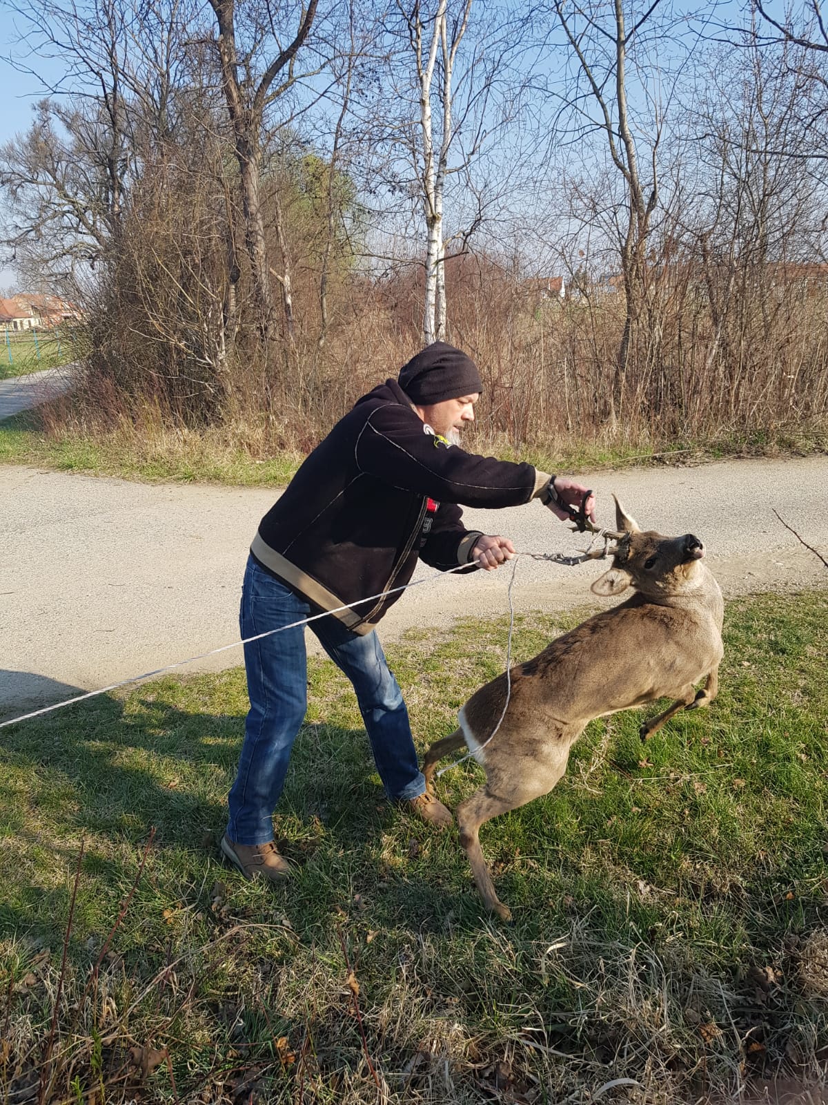 Wildtiere und weitere Tiere am Gnadenhof