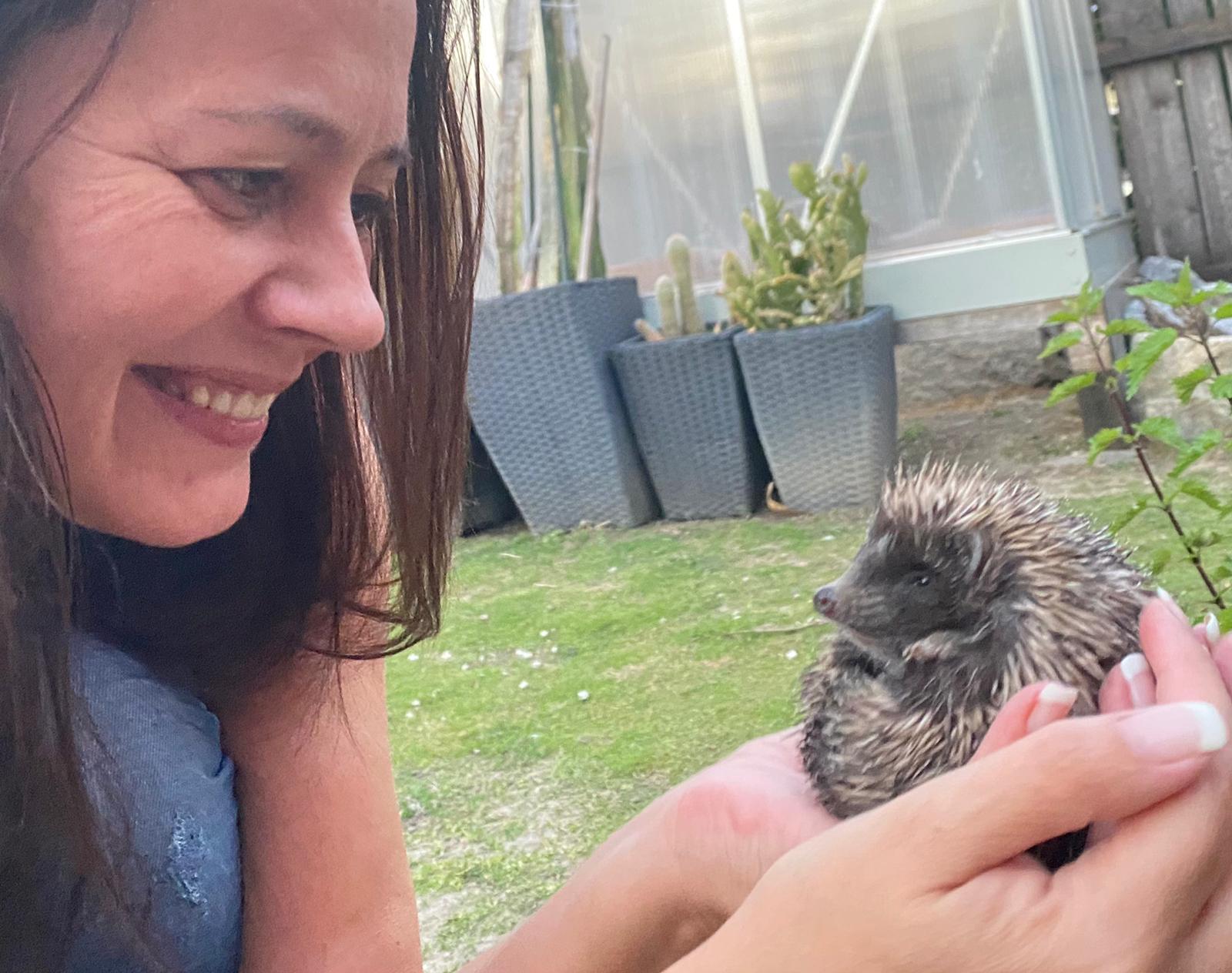 Wildtiere und weitere Tiere am Gnadenhof
