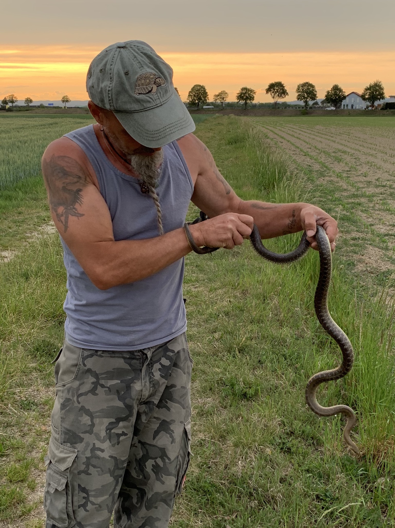 Wildtiere und weitere Tiere am Gnadenhof