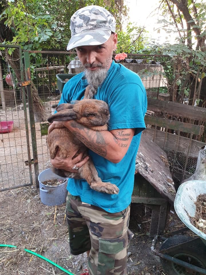 Wildtiere und weitere Tiere am Gnadenhof