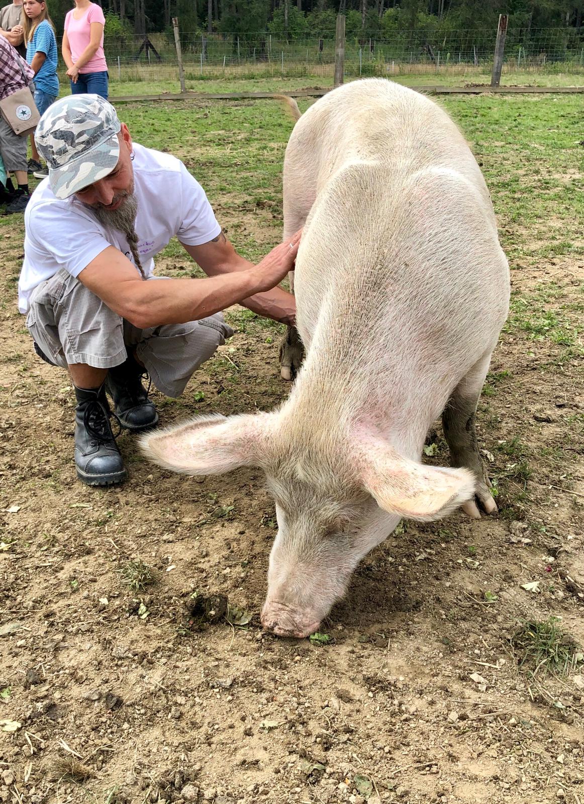 Wildtiere und weitere Tiere am Gnadenhof